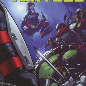 DEVIATIONS (2016 SERIES) #3: Teenage Mutant Ninja Turtles #1