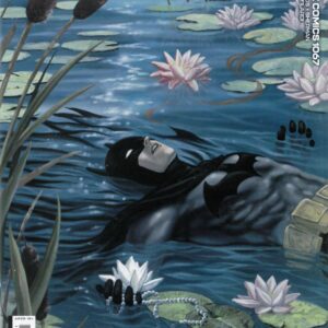 DETECTIVE COMICS (1935- SERIES: VARIANT EDITION) #1067: Colleen Doran RI cover D