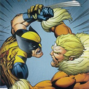 WOLVERINE (2024 SERIES) #12: Mark Bagley RI cover Q