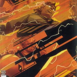 ABSOLUTE FLASH #6: Nimit Malavia RI cover D