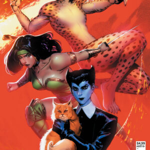 CHEETAH AND CHESHIRE ROB THE JUSTICE LEAGUE #3 Noobovich cover B