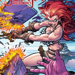 SONJA REBORN #4 Chad Hardin cover C