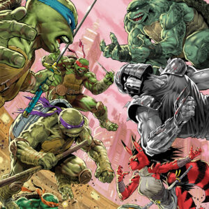 TEENAGE MUTANT NINJA TURTLES: BATTLE NEXUS #1 Escorza Brothers cover A