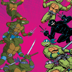 TEENAGE MUTANT NINJA TURTLES: BATTLE NEXUS #4 Ken Mitchroney cover C