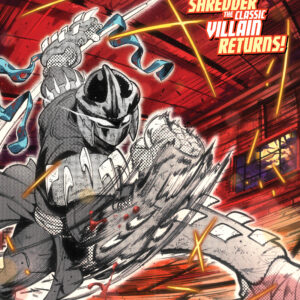TEENAGE MUTANT NINJA TURTLES: BATTLE NEXUS #2 Ricardo Ortiz cover B