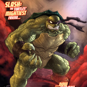 TEENAGE MUTANT NINJA TURTLES: BATTLE NEXUS #5 Fero Pe cover B