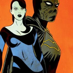 BIRDS OF PREY (2023 SERIES) #27 Francesco Francavilla cover D