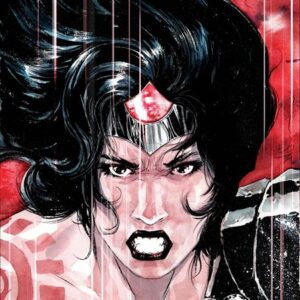 ABSOLUTE WONDER WOMAN #14 Dustin Nguyen cover D