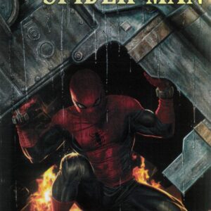 AMAZING SPIDER-MAN (2025 SERIES) #14: Lee Bermejo Amazing Visions cover B