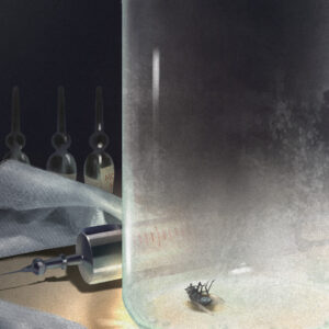 BE NOT AFRAID #5 Reiko Murakami cover A