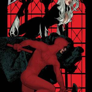 BLACK CAT (2025 SERIES) #6 Adam Hughes cover A BLACK CAT (2025 SERIES) #6 Adam Hughes cover A