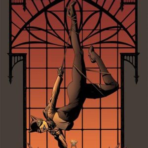 CATWOMAN (2018 SERIES) #83 Corin Howell cover D