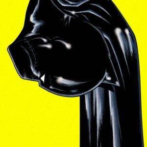 BATGIRL (2024 SERIES) #15 Jorge Fornes cover B