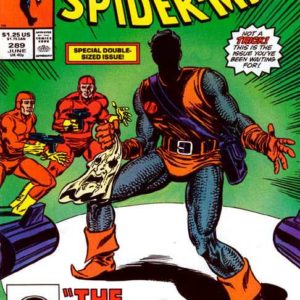 AMAZING SPIDER-MAN (1962-2018 SERIES) #289: 9.2 (NM)