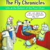 FLY CHRONICLES TP #1: Life at the Bottom of the Food Chain