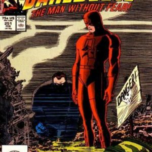 DAREDEVIL (1964-2018 SERIES) #251 DAREDEVIL (1964-2018 SERIES) #251
