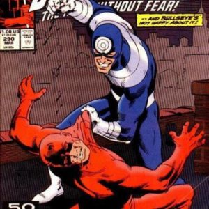 DAREDEVIL (1964-2018 SERIES) #290: Bullseye DAREDEVIL (1964-2018 SERIES) #290: Bullseye