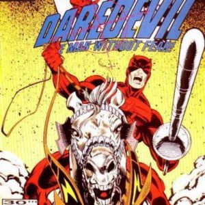 DAREDEVIL (1964-2018 SERIES) #308: Dead Man’s Hand part 5: Nomad: Punisher