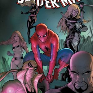 AMAZING SPIDER-MAN (1962-2018 SERIES) #653