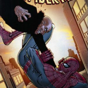 AMAZING SPIDER-MAN (1962-2018 SERIES) #675