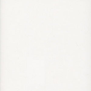 MICRONAUTS: REVOLUTION #1002: #1 Blank sketch cover