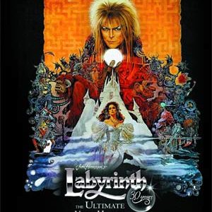 LABYRINTH ULTIMATE VISUAL HISTORY (HC)