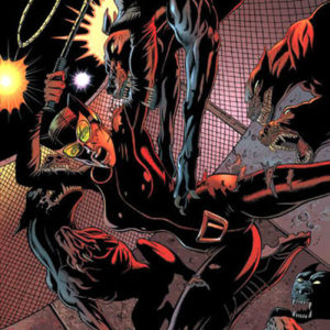 CATWOMAN (2001-2009 SERIES) #42