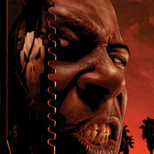 PUNISHER (2004-2009 SERIES: FRANK CASTLE) #32