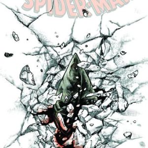 AMAZING SPIDER-MAN (1962-2018 SERIES: VARIANT CVR) #617: #617 Something is Coming cover
