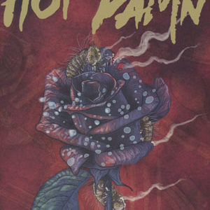 HOT DAMN #301: #3 Valentin Romon subscription cover