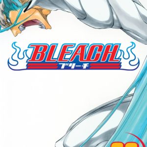 BLEACH TP #32