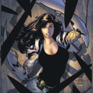 WITCHBLADE (1995-2015 SERIES) #93