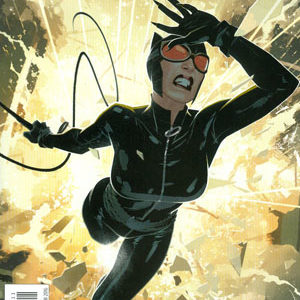 CATWOMAN (2011-2016 SERIES) #47