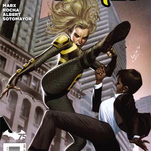 BIRDS OF PREY (2011-2014 SERIES) #33