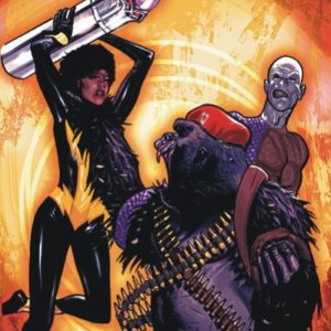 OUTSIDERS (2003-2007 SERIES) #39