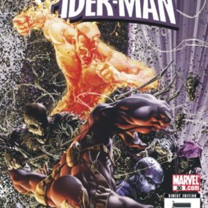 SPIDER-MAN (2004-2007 SERIES: SENSATIONAL-MVL KNGT #30