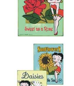 BETTY BOOP GARDEN NOTECARDS TIN