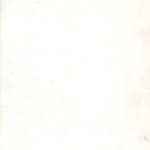 STAR TREK (2011 SERIES: VARIANT EDITION) #50: #50 Artist Edition blank cover