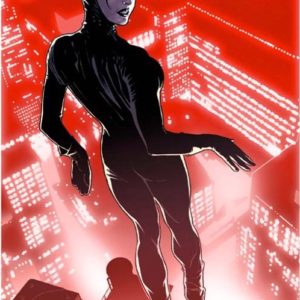 CATWOMAN (2001-2008 SERIES: 2ND PRINT) #53