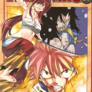 FAIRY TAIL GN #47