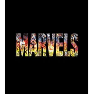 MARVELS (HC) (ALEX ROSS ART) #2014: The Platinum edition slipcased