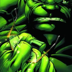 INCREDIBLE HULKS (VARIANT COVER) #635: Blank cover