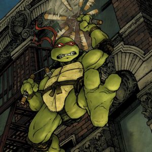 TEENAGE MUTANT NINJA TURTLES MICRO SERIES #2: Michelangelo