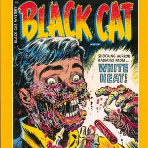BLACK CAT MYSTERY SOFTIE TP (HARVEY HORRORS) #5