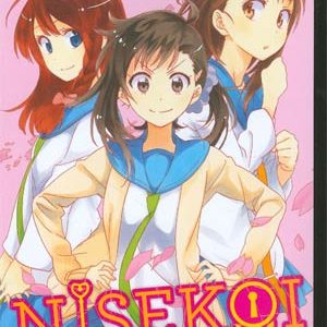 NISEKOI: FALSE LOVE GN #9