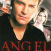 ANGEL: THE OFFICIAL COLLECTION #1: Heroes & Guardian Angels