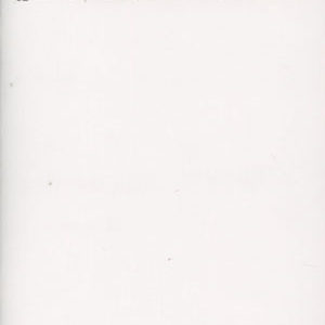 EAGLE RESURGENT #1002: #1 Blank cover