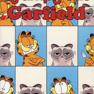 GRUMPY CAT GARFIELD #1: Andy Hirsh cover