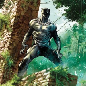 BLACK PANTHER (1977-2017 SERIES: VARIANT EDITION) #170: #170 Marco Checchetto Young Guns cover