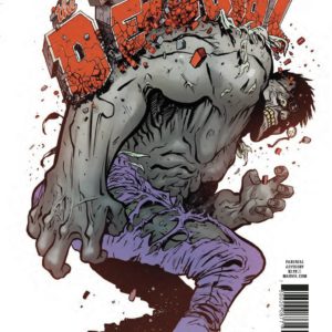 DESPICABLE DEADPOOL (VARIANT EDITION) #294: #294 Scott Koblish Hulk cover